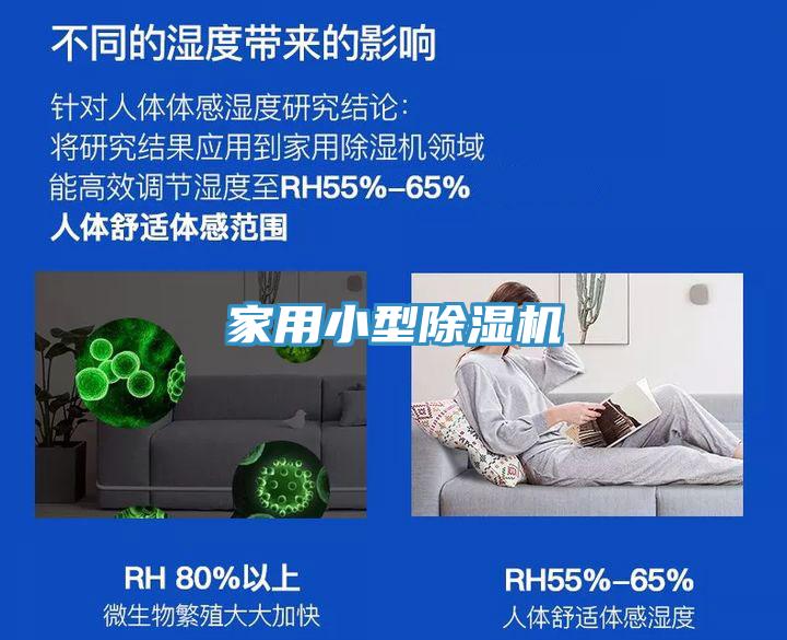家用小型麻豆视频网站免费看
